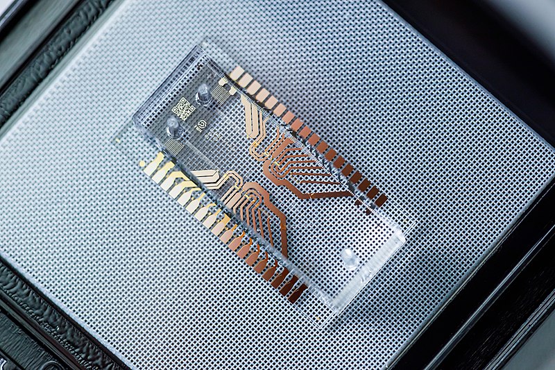 Nanofabricator™印刷事例