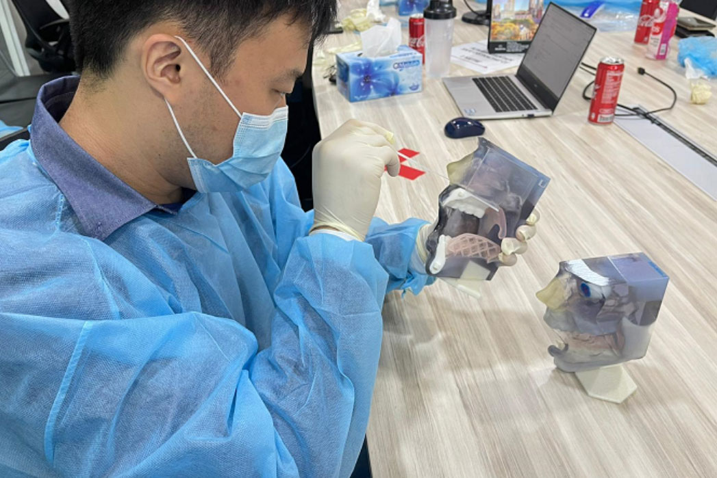 3Dプリントされた透明の人体頭部のモデルを使用し、スワブを入れる練習をしている風景
