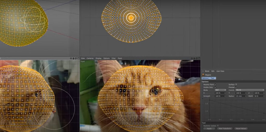 3Dレンダリングソフトウェアで猫の顔を分析し、それに合わせたデータ作成をしている様子