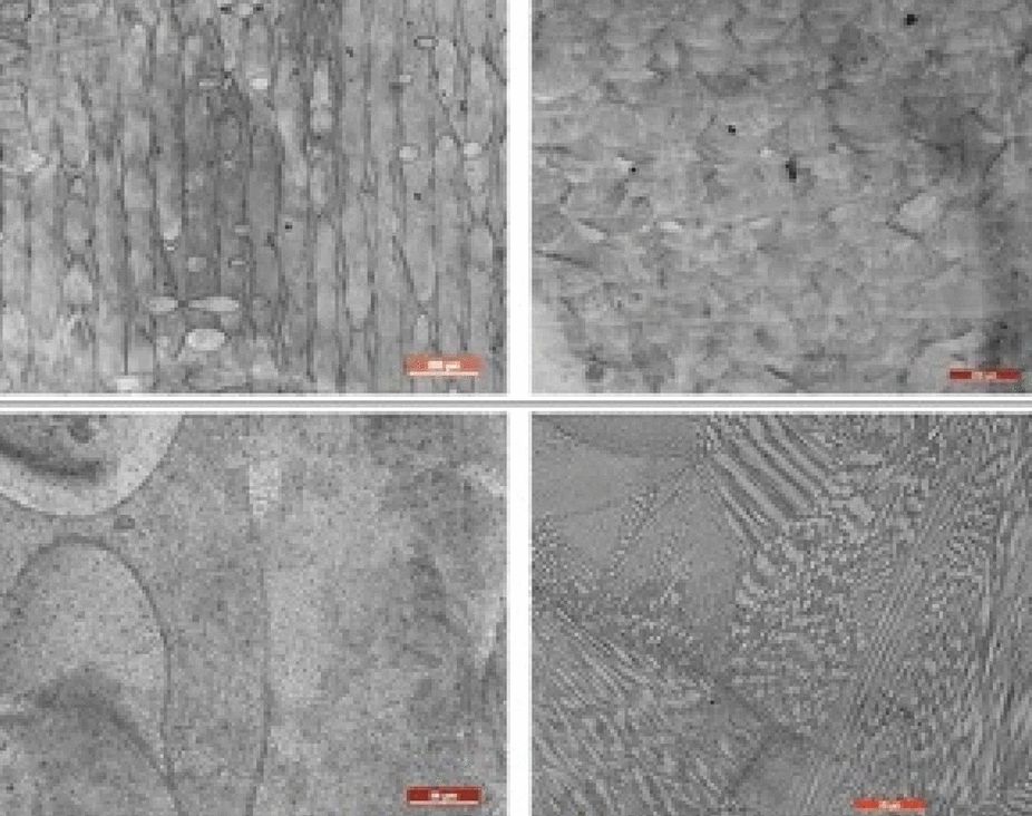 3Dプリントされたミサイル燃料噴射装置の光学顕微鏡画像。
積層痕はもちろんなく、金属粉が融解し、凝固した姿が見て取れる。