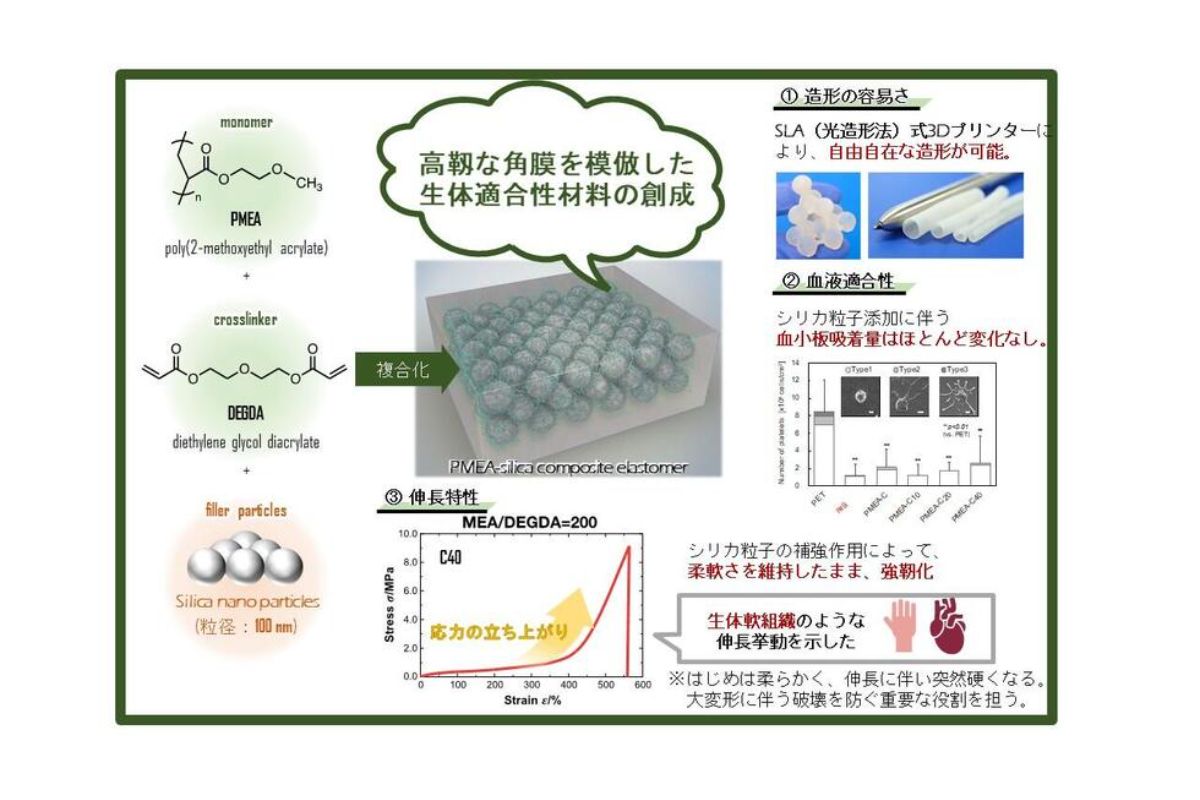 研究概要