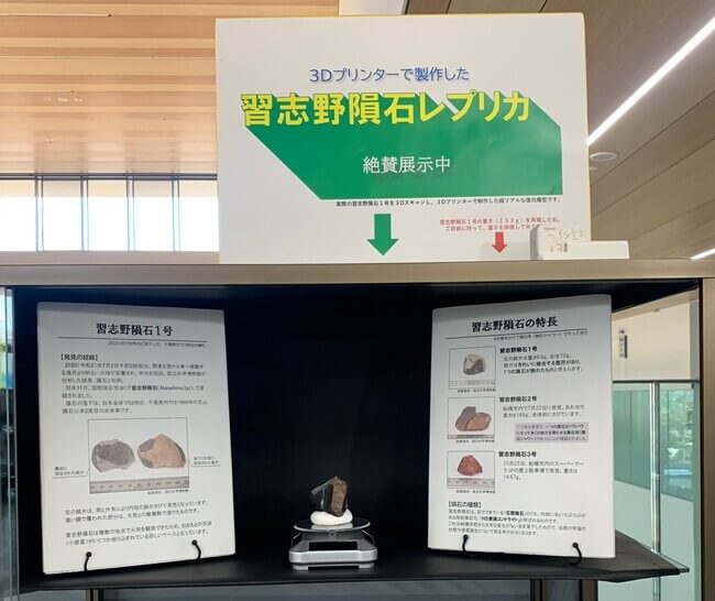 習志野市役所で展示される習志野隕石の3Dプリンター製レプリカ