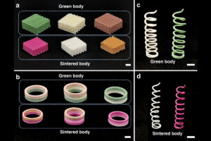 41467_2023_38082_Fig5_HTML