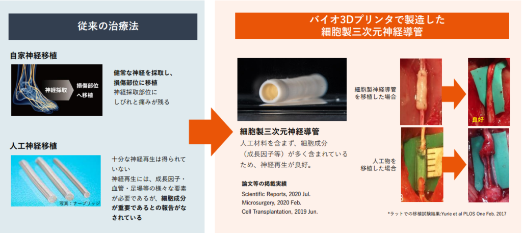 細胞製三次元神経導管の開発概要(出典:サイフューズ)