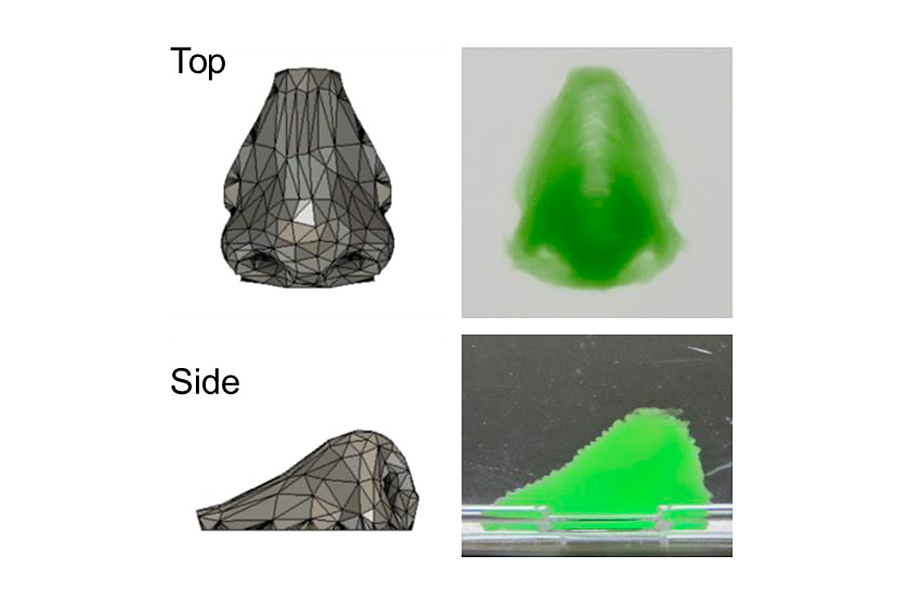 プリント補助剤を使用して鼻の設計図にもとづいて3Dプリントされた構造物