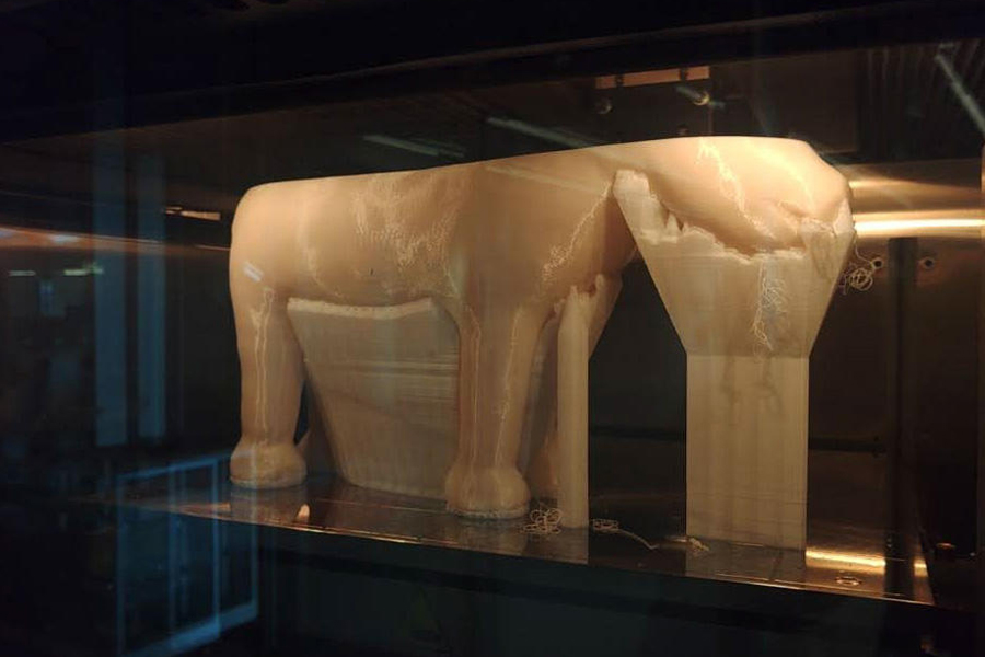 ３Dプリンターで作製した実物大レプリカ