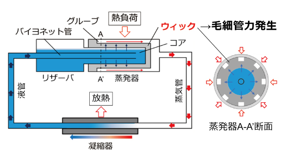 ループヒートパイプ模式図［重力環境下］