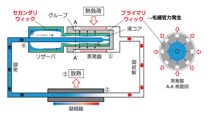 ループヒートパイプ模式図［微小重力環境下］